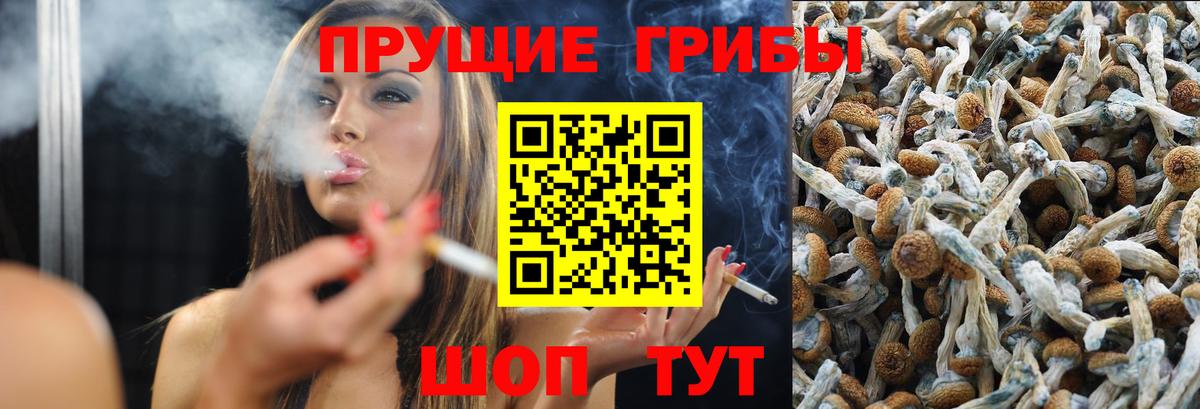 Псилоцибиновые грибы Cubensis  Псилоцибиновые грибы ЛСД  Вход с VPN  Туймазы 